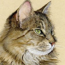 Схема вышивки «Коь»