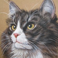 Схема вышивки «Кот»