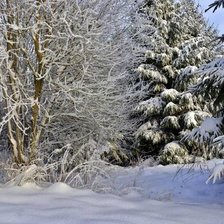 Схема вышивки «№2653643»