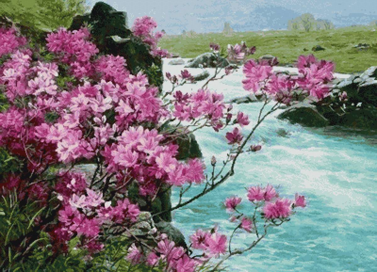 Багульник - багульник - предпросмотр