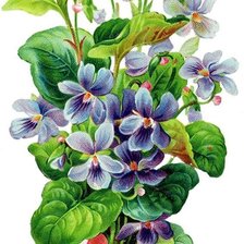 Схема вышивки «№2653840»