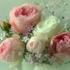 Схема вышивки «Пионы 2»