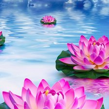 Схема вышивки «Лотосы»