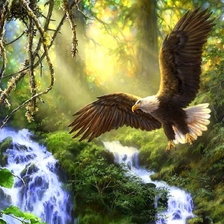 Схема вышивки «Орёл»