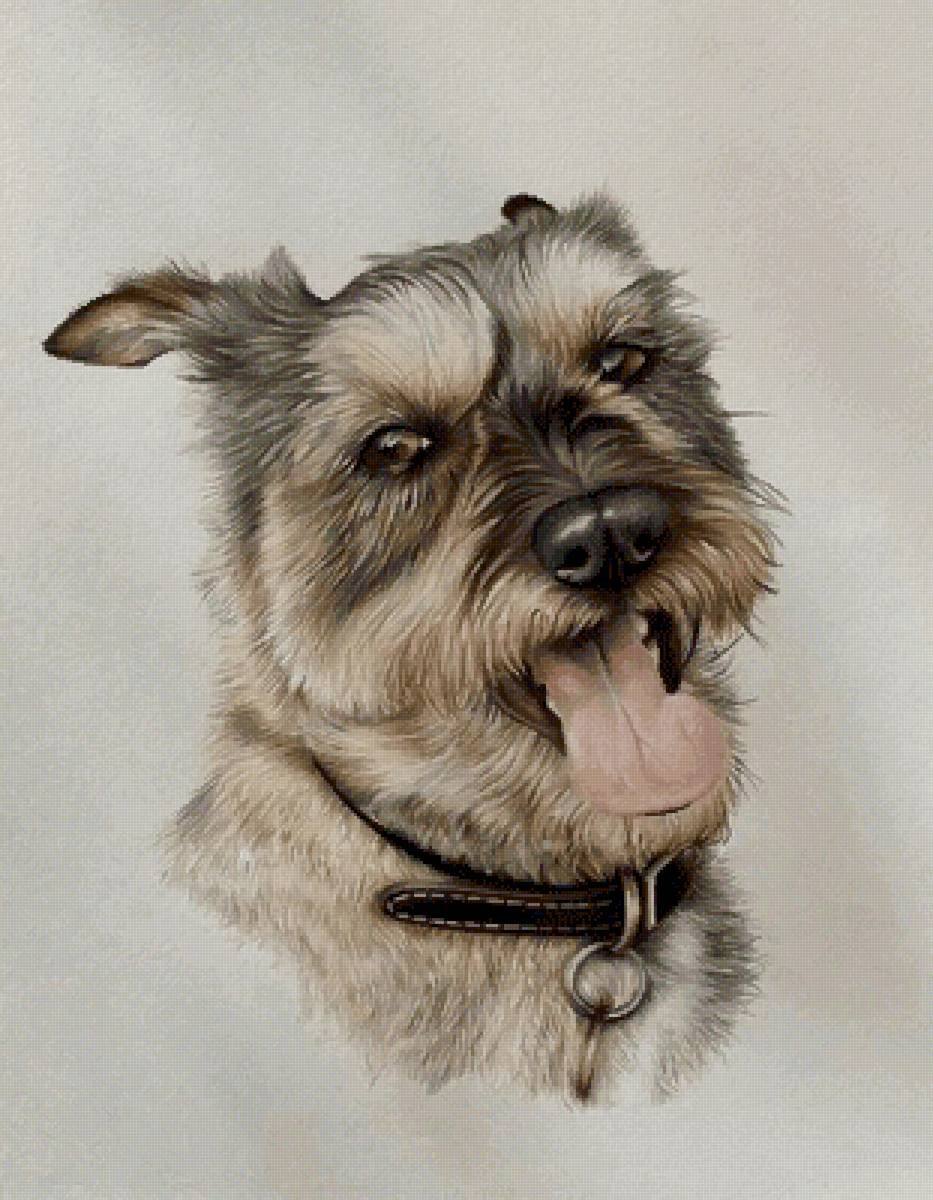 Верный друг - собака, животные - предпросмотр