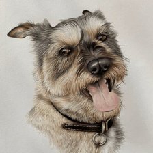 Верный друг