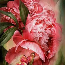 Схема вышивки «Пионы»