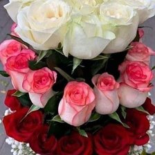 Схема вышивки «Большие розы»