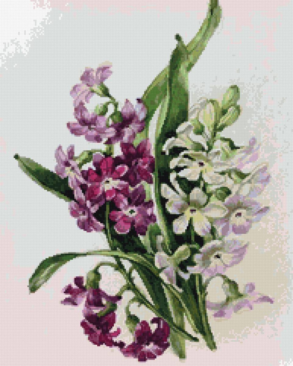 гиацинты - предпросмотр