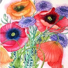 Схема вышивки «подушка маки»