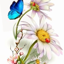 Схема вышивки «ромашки»