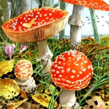 Схема вышивки «мухоморы»