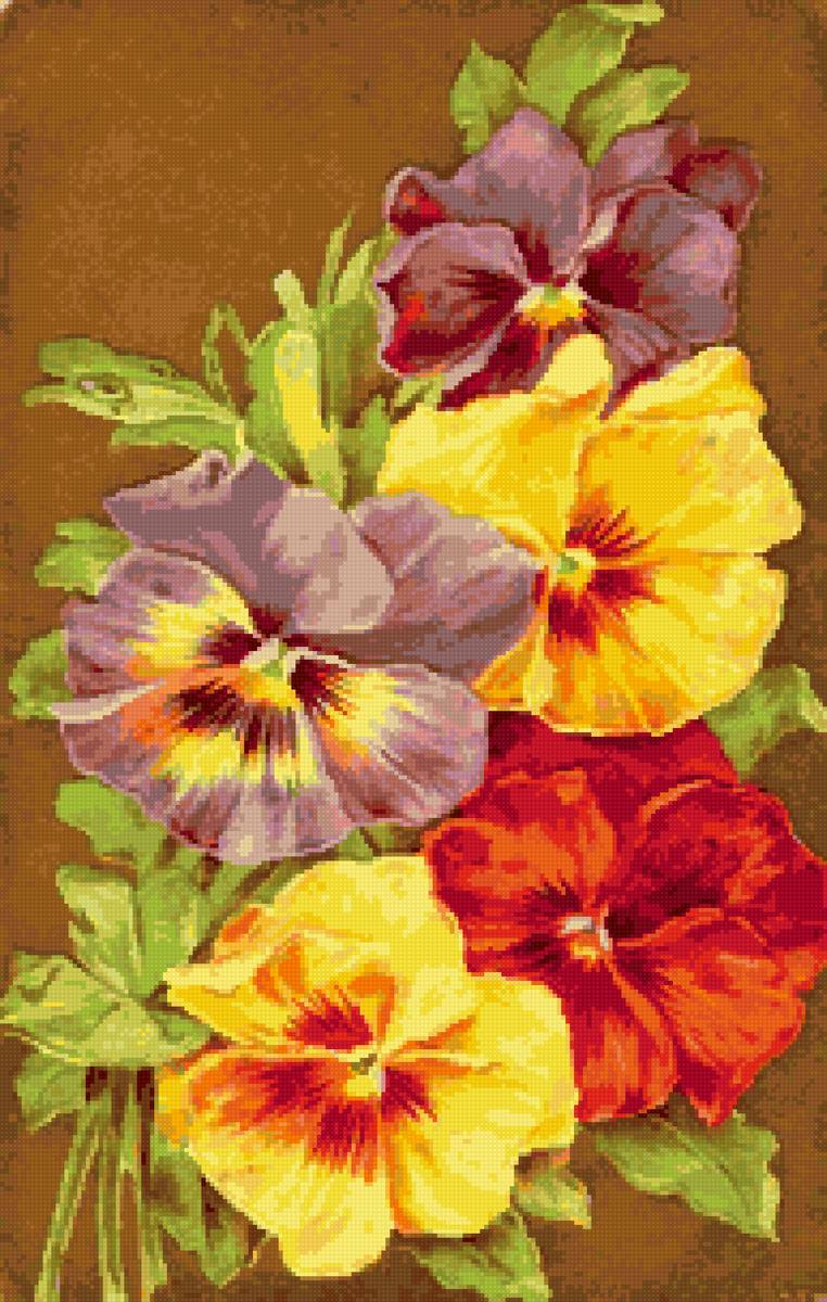 анютки - предпросмотр