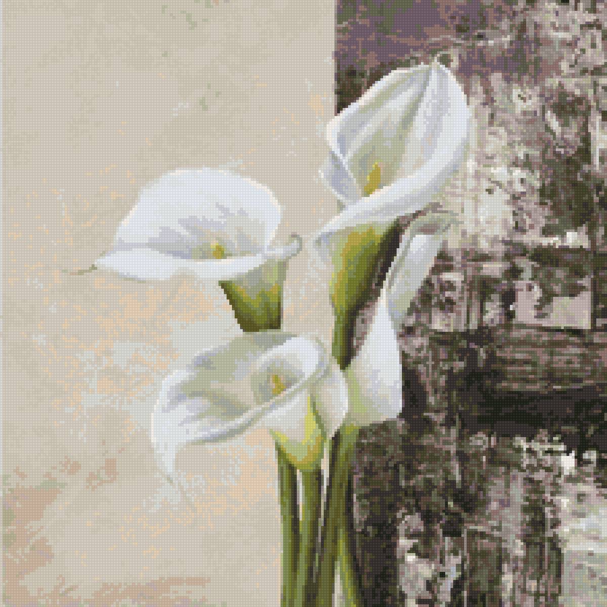 каллы - предпросмотр