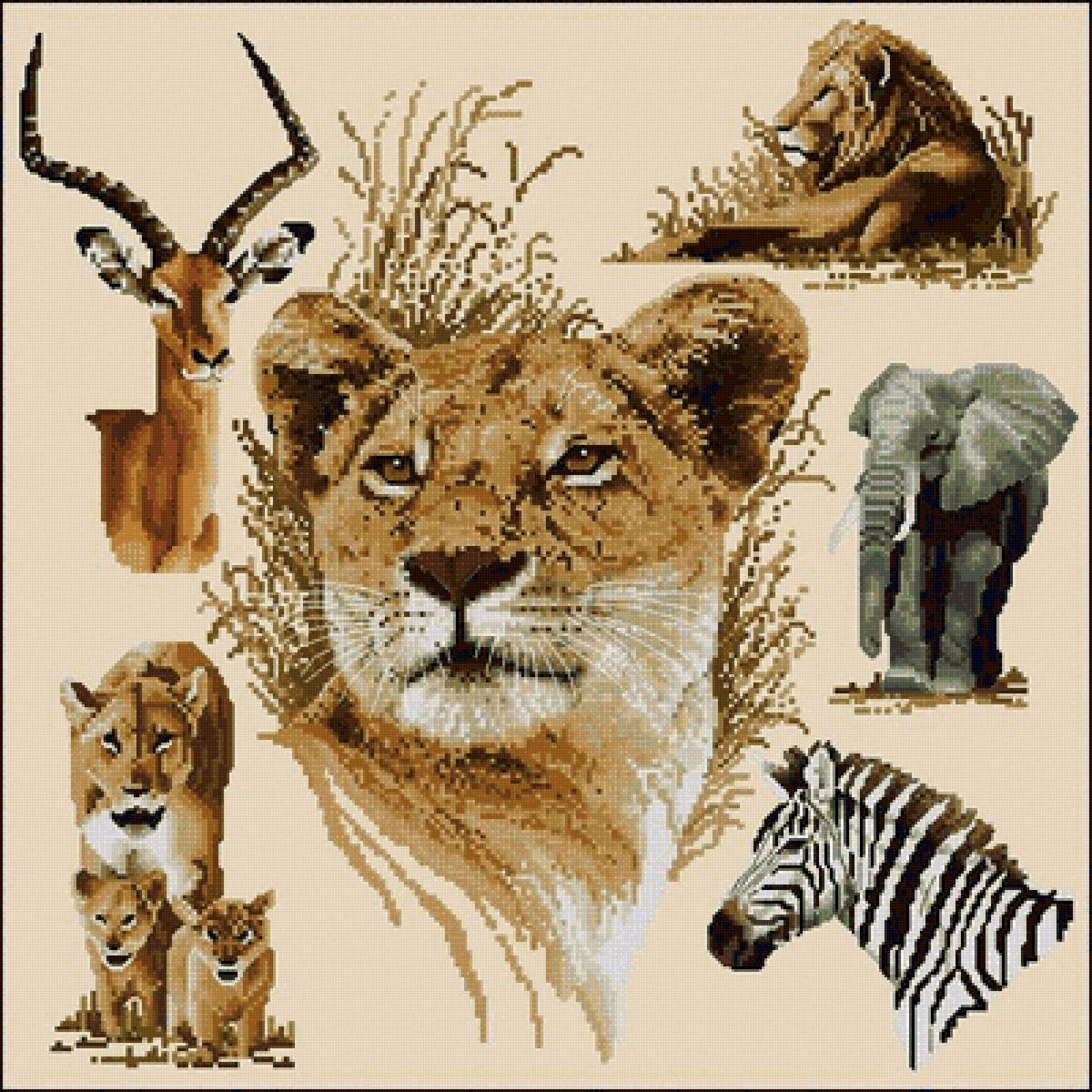 №2656028 - предпросмотр