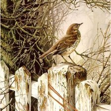 Схема вышивки «Жаворонок»