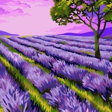 Схема вышивки «Лавандовое поле»