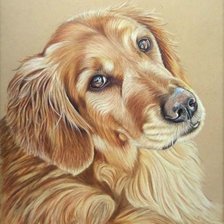 Схема вышивки «№2656778»