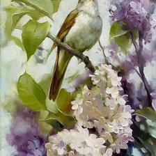 Схема вышивки «Сольный концерт»