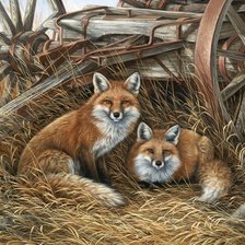 Схема вышивки «№2657016»