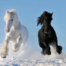 Схема вышивки «Лошади»