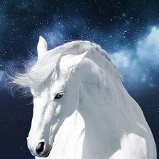 Схема вышивки «№2657733»