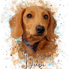 Схема вышивки «Watercolor Pet»