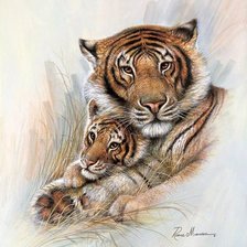 Схема вышивки «№2657999»