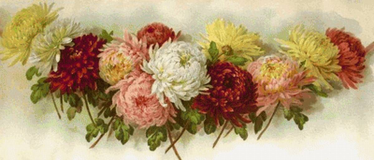 Хризантемы - цветы, хризантемы, живопись - предпросмотр