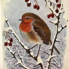 Схема вышивки «№2658459»