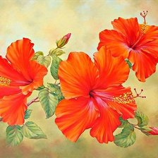 Схема вышивки «подушка гибискус»