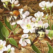 Схема вышивки «Шмели на цветах»