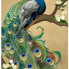 Схема вышивки «№2658810»