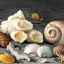 Схема вышивки «Ракушки и лягушка»