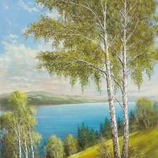 Схема вышивки «Берёзы»