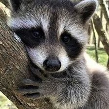 Схема вышивки «Отдыхашка»