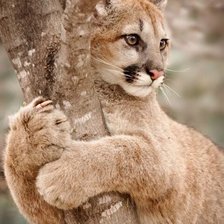 Схема вышивки «№2659213»