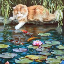 Кот и рыбки