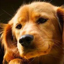 Схема вышивки «№2659522»