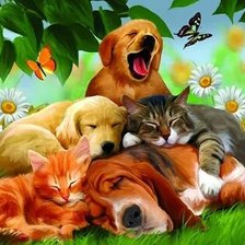 Схема вышивки «№2659535»