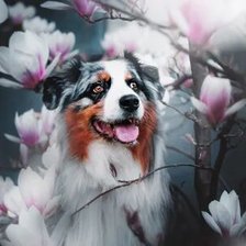 Схема вышивки «№2659543»