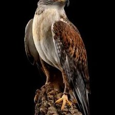 Схема вышивки «№2659566»