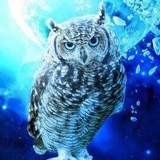 Схема вышивки «№2659607»