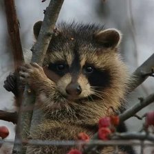 Схема вышивки «№2659621»