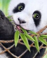 Схема вышивки «№2659622»