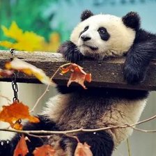 Схема вышивки «№2659629»