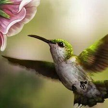 Схема вышивки «№2659639»