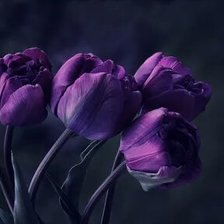 Схема вышивки «№2659647»