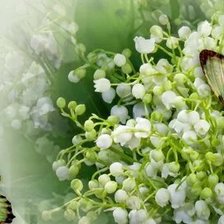 Схема вышивки «№2659649»