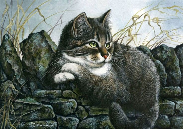 Котик - котик - оригинал